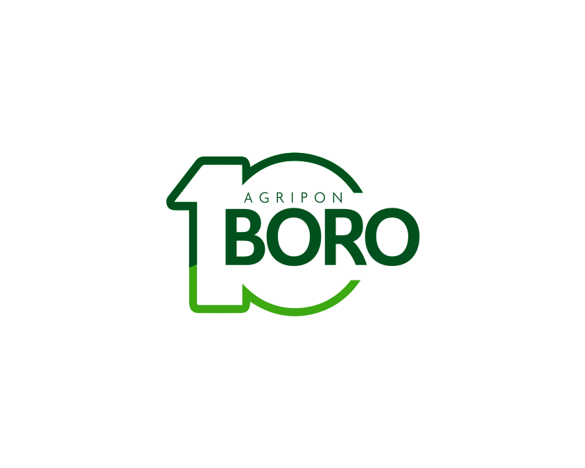 Boro 10